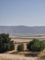 תמונה ממוזערת לגרסה מתאריך 12:43, 3 במאי 2025