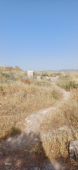 קובץ:2025-05-03T16 59 52.601431342258.jpg