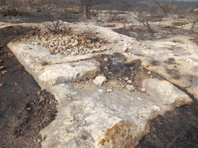 קובץ:2025-05-04T08 03 28.371233893879.jpg