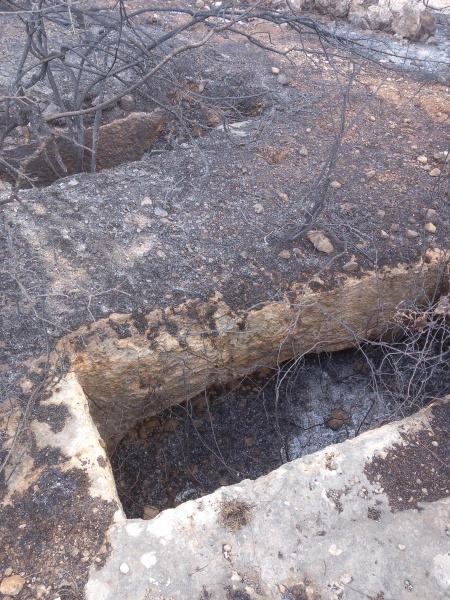 קובץ:2025-05-04T08 39 16.359262399635.jpg