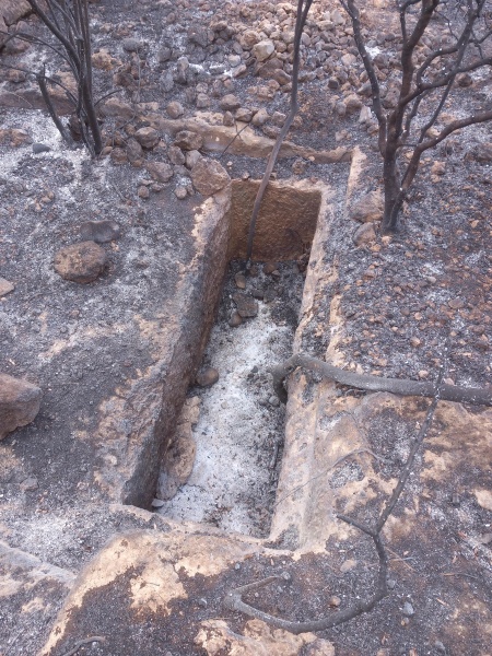 קובץ:2025-05-04T08 40 41.909657345977.jpg