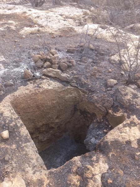 קובץ:2025-05-04T08 55 57.879346702442.jpg