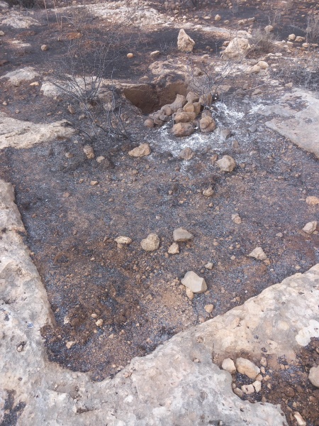 קובץ:2025-05-04T08 56 20.670099613502.jpg