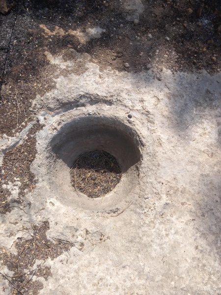 קובץ:2025-05-04T10 12 37.655486125301.jpg