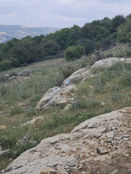 קובץ:2025-05-04T11 15 27.507710721153.jpg