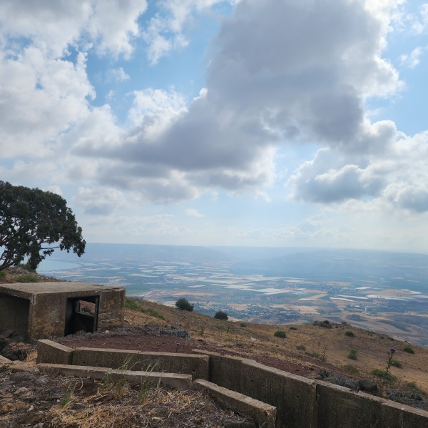 קובץ:2025-05-05T08 54 32.039660112331.jpg