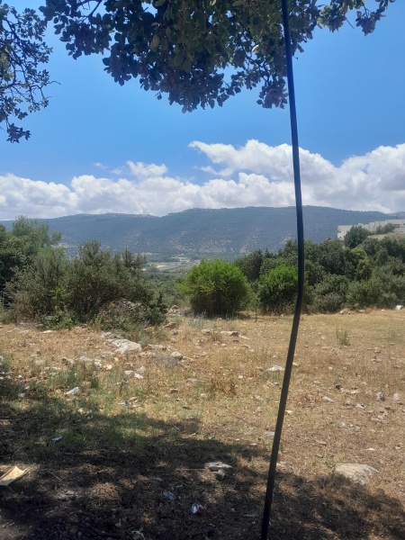 קובץ:2025-05-05T12 58 02.578234531299.jpg