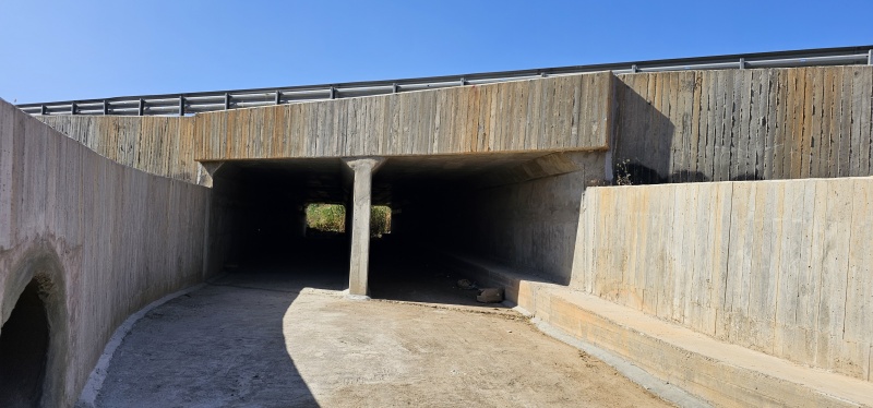 קובץ:2025-05-06T09 18 17.417646690564.jpg