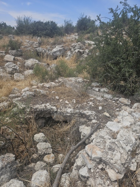 קובץ:2025-05-06T11 51 59.47420014844.jpg