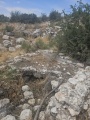 תמונה ממוזערת לגרסה מתאריך 08:33, 6 במאי 2025