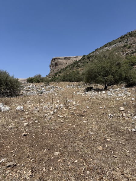 קובץ:2025-05-06T13 30 44.558818205067.jpg