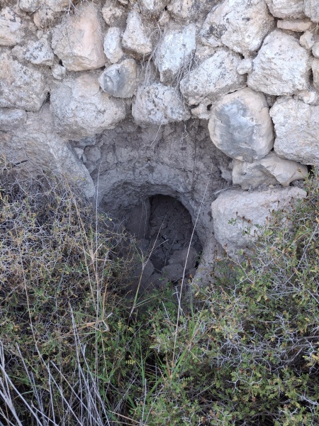 קובץ:2025-05-06T18 20 41.359019101321.jpg