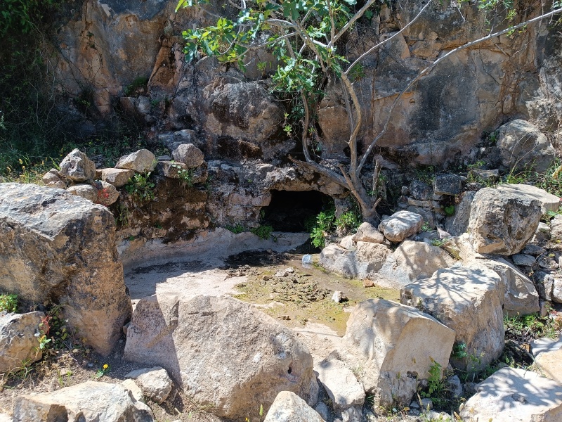 קובץ:2025-05-07T10 41 07.317456945640.jpg