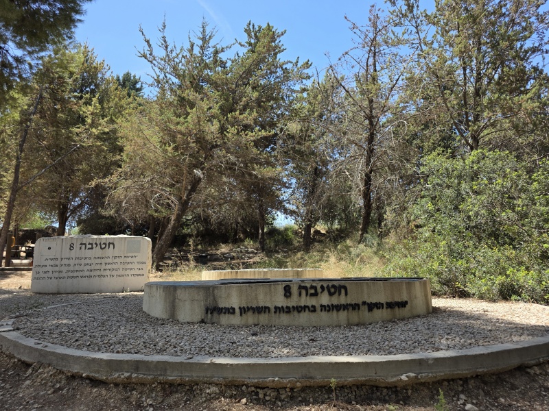 קובץ:2025-05-07T11 57 46.154286619978.jpg