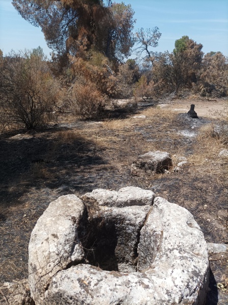 קובץ:2025-05-07T13 49 41.582344584237.jpg