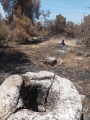 תמונה ממוזערת לגרסה מתאריך 10:31, 7 במאי 2025