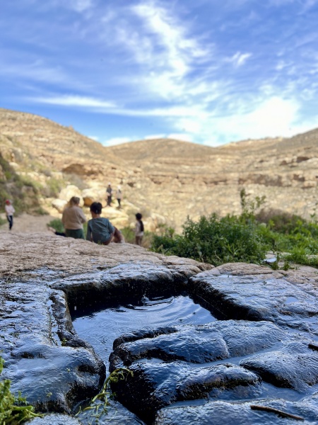 קובץ:2025-05-07T14 44 46.124453612626.jpg
