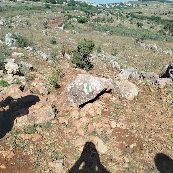 קובץ:2025-05-07T15 47 08.032712839948.jpg