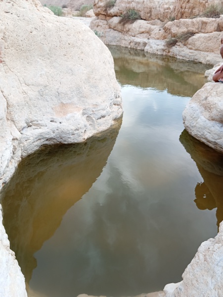 קובץ:2025-05-07T18 36 21.29397546746.jpg