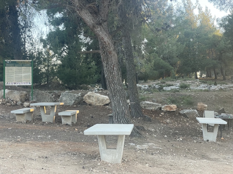 קובץ:2025-05-07T19 47 44.829516784571.jpg