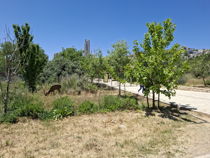 קובץ:2025-05-08T12 15 32.710974696401.jpg
