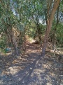 תמונה ממוזערת לגרסה מתאריך 09:21, 8 במאי 2025
