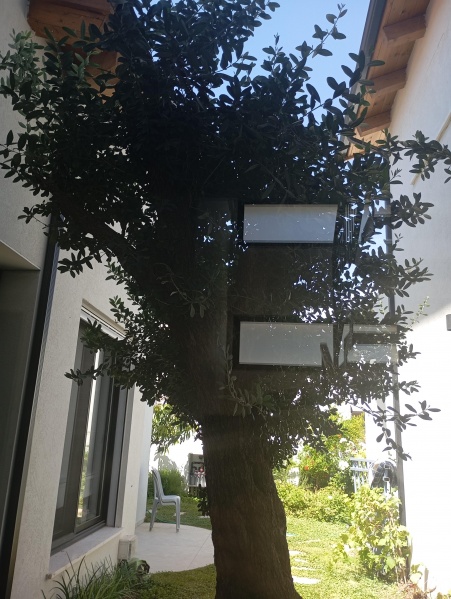 קובץ:2025-05-08T14 13 29.322378753565.jpg