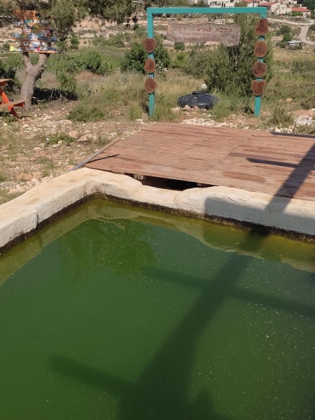 קובץ:2025-05-08T15 06 14.984477675377.jpg
