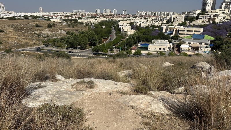 קובץ:2025-05-08T16 04 23.686819388835.jpg