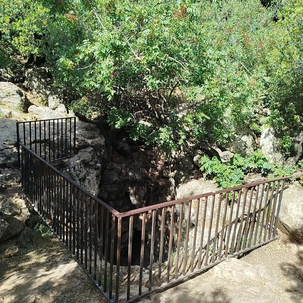 קובץ:2025-05-08T16 08 20.241934913657.jpg