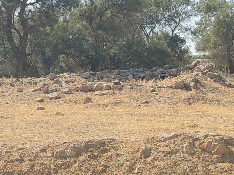 קובץ:2025-05-08T16 32 31.886101514524.jpg