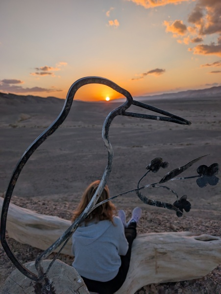 קובץ:2025-05-08T16 47 41.398101584535.jpg
