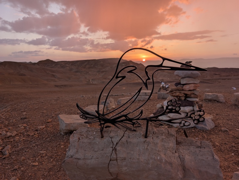 קובץ:2025-05-08T16 52 21.17325436212.jpg