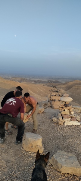 קובץ:2025-05-08T17 03 11.555095562156.jpg