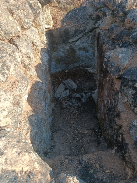 קובץ:2025-05-08T17 21 46.319605337326.jpg