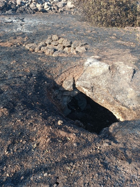 קובץ:2025-05-08T17 22 04.786864685906.jpg