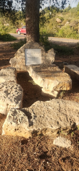קובץ:2025-05-08T18 09 51.865546539143.jpg