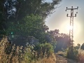 תמונה ממוזערת לגרסה מתאריך 15:05, 8 במאי 2025