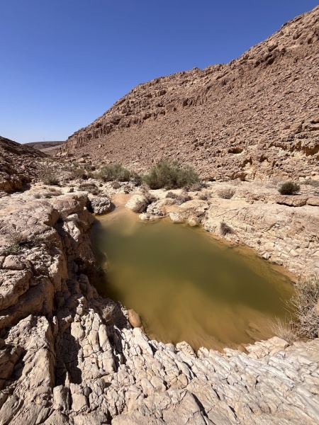 קובץ:2025-05-09T11 15 38.617871866195.jpg