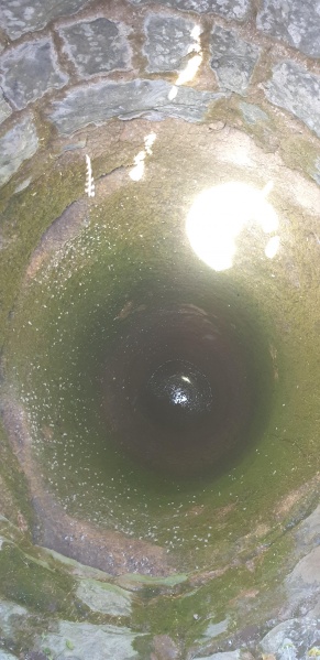 קובץ:2025-05-09T11 52 08.596952930.jpg