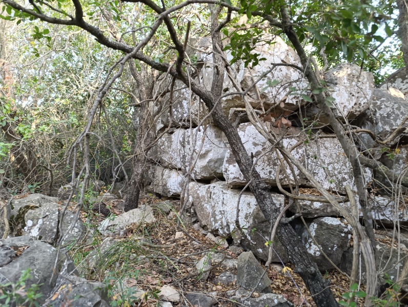קובץ:2025-05-09T18 09 22.178423526844.jpg