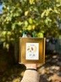 תמונה ממוזערת לגרסה מתאריך 06:58, 10 במאי 2025