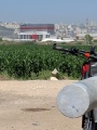 תמונה ממוזערת לגרסה מתאריך 08:00, 10 במאי 2025