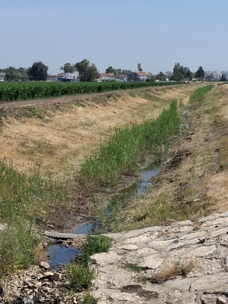 קובץ:2025-05-10T11 21 38.69696525173.jpg