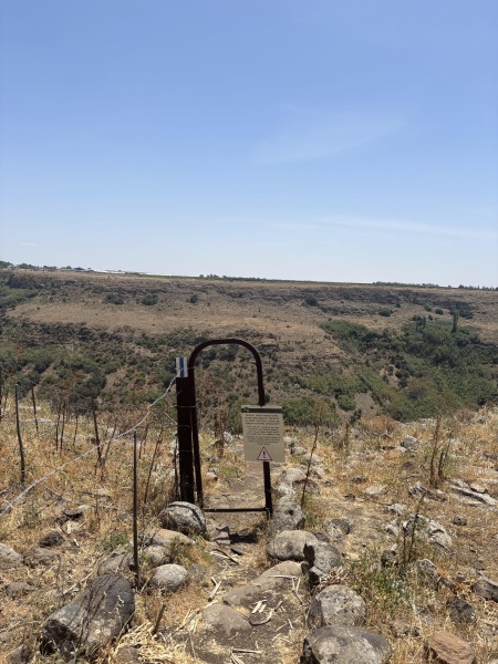 קובץ:2025-05-10T12 10 50.520916502299.jpg
