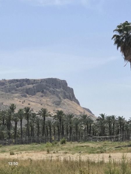 קובץ:2025-05-10T13 55 14.06448272680.jpg