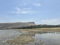 תמונה ממוזערת לגרסה מתאריך 10:34, 10 במאי 2025