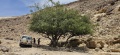 תמונה ממוזערת לגרסה מתאריך 11:47, 10 במאי 2025