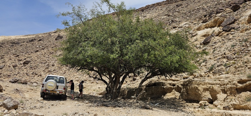 קובץ:2025-05-10T14 36 41.096229409829.jpg