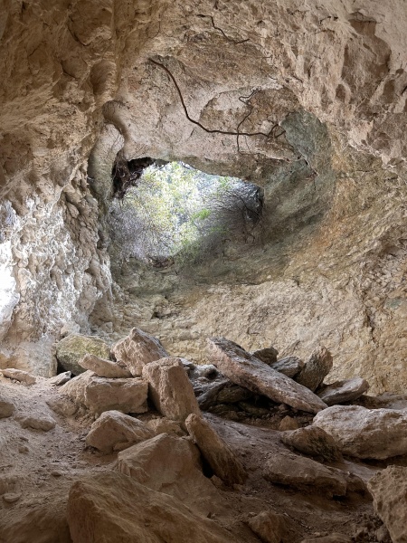 קובץ:2025-05-10T15 18 17.171271410265.jpg